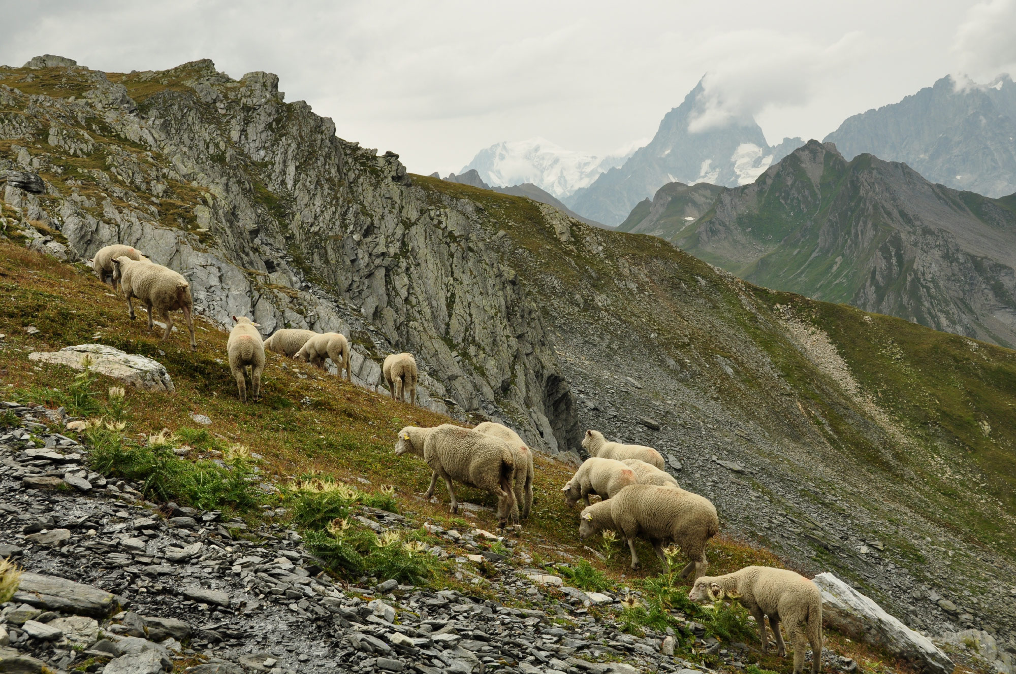 Lacs de Fenêtre